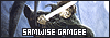 100x35 code