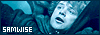 100x35 code