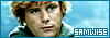 100x35 code