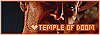 100x35 code