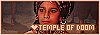 100x35 code