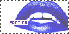 100x50 code