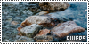 100x50 code