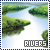 50x50 code