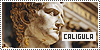 100x50 code