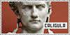100x50 code