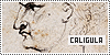 100x50 code