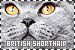 Cats: British Shorthair